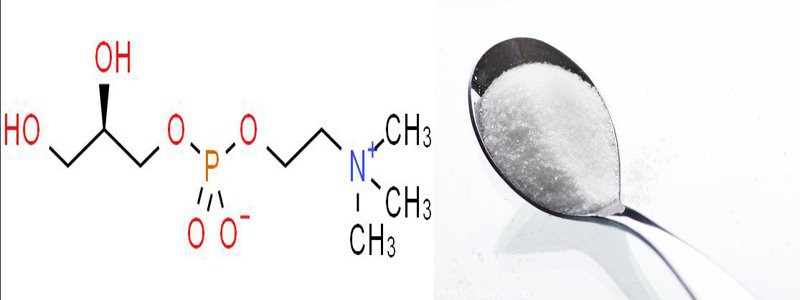 choline glycerophosphate