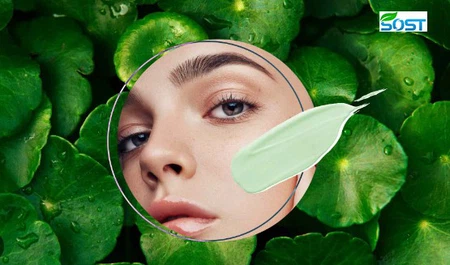 Centella Asiatica extract Centella Asiatica extract