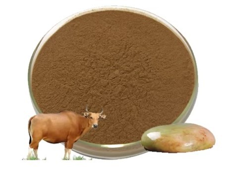 Ox Bile Extract Ox Bile Extract