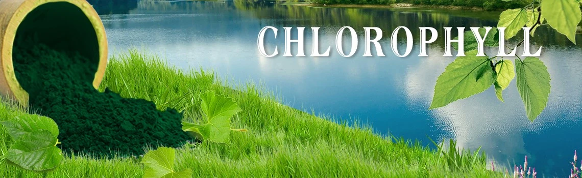 Natural Chlorophyll powder Natural Chlorophyll powder