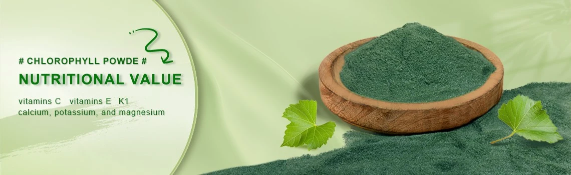 2 CHLOROPHYLL 2 CHLOROPHYLL