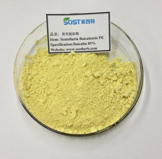 Chinese Skullcap Extract