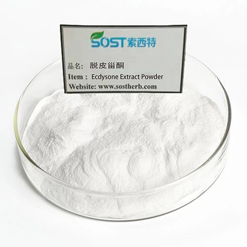 Ecdysone Extract Powder