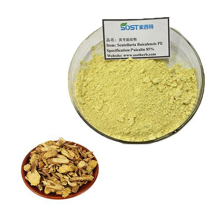 Chinese Skullcap Extract
