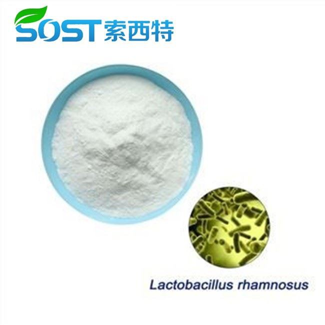 Lactobacillus Rhamnosus