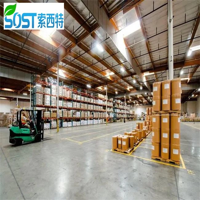 Calcium Lactate Powder