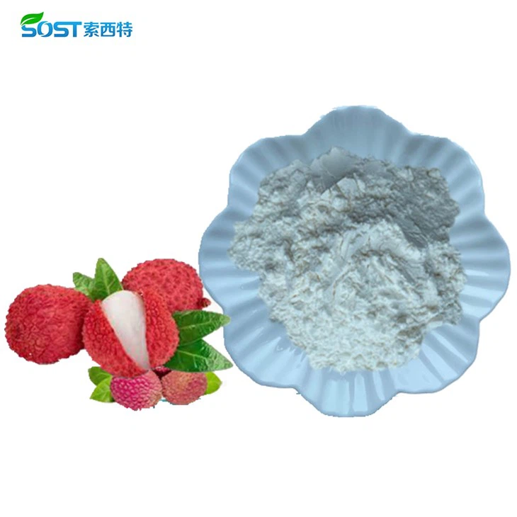 Freeze Dried Lychee Fruit Juice Powder