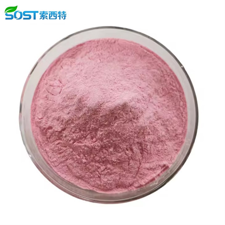 Strawberry Fruit Juice Powder