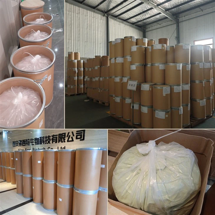 NADP Nicotinamide Adenine Dinucleotide Phosphate factory